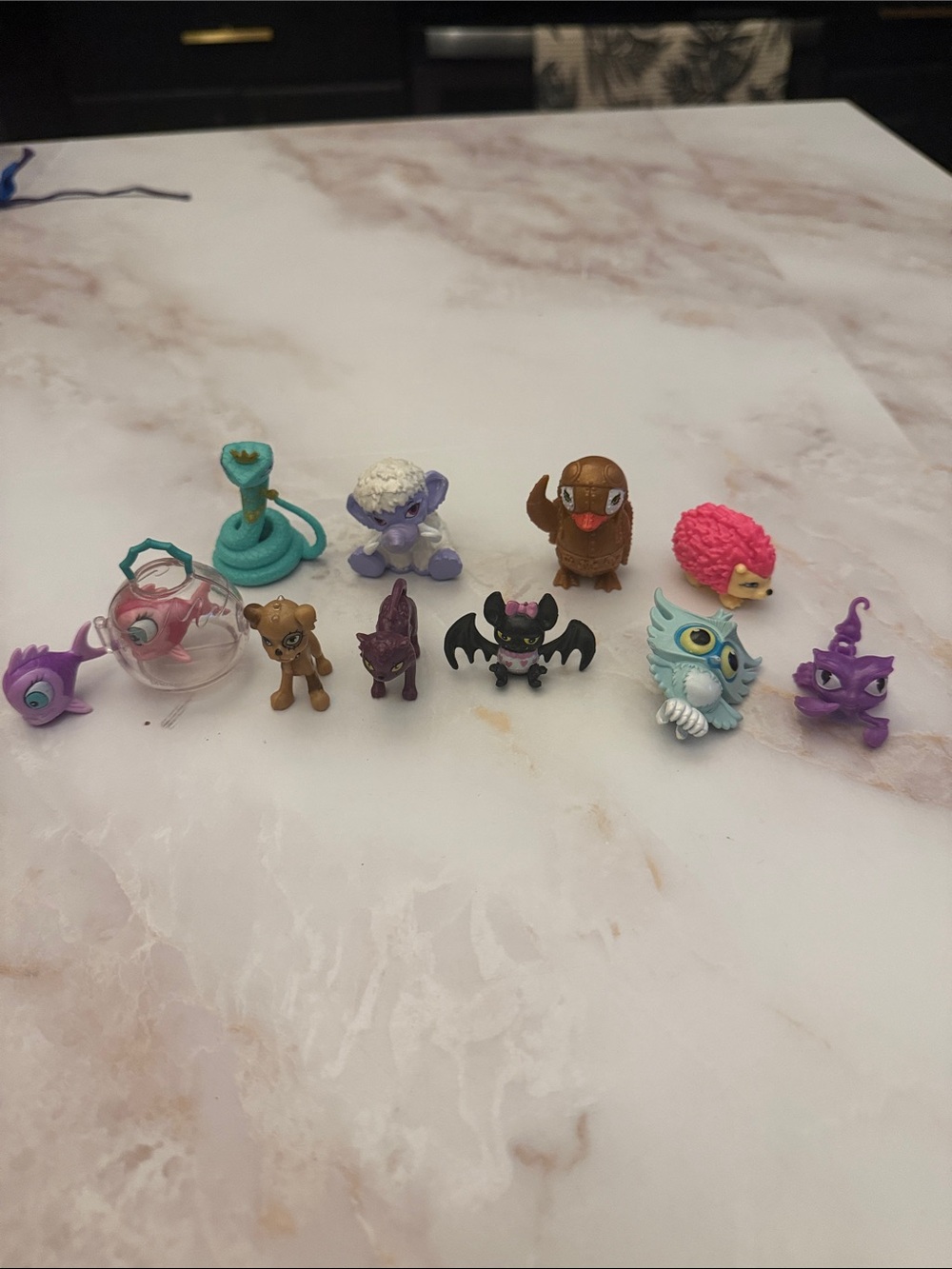 Monster high pets